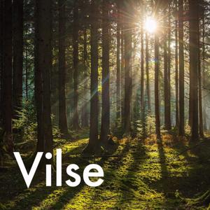 Vilse by Vilse