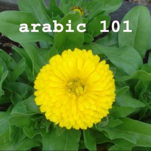 Arabic101