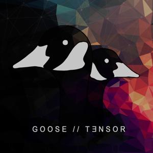 TENSOR // Techno Sets by The Goose Collective