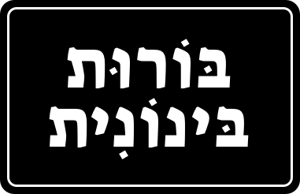 בורות בינונית