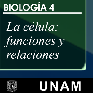 La célula: funciones y relaciones by UNAM