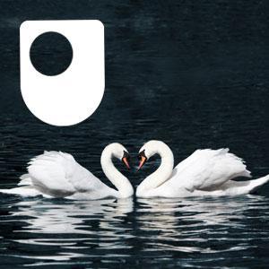The Philosophy of Love - Audio