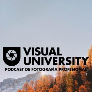 Visual University