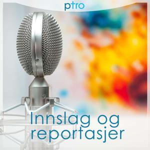 pTro - Innslag og reportasjer by pTro