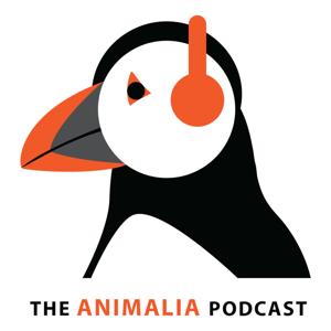 Animalia Podcast