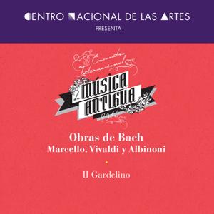 Obras de Bach, Marcello, Vivaldi y Albinoni. Il Gardellino