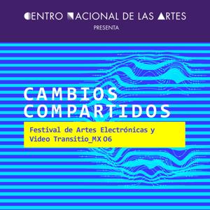 Simposio Cambios Compartidos. Festival Internacional de Artes Electrónicas y Video, Transitio_MX 06