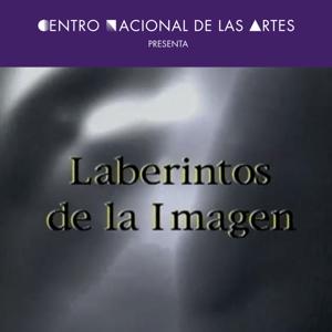 Laberintos de la Imagen