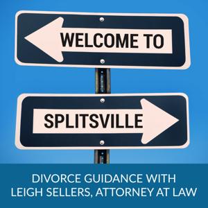 Welcome to Splitsville | Navigating Divorce in a Modern World by Leigh Sellers