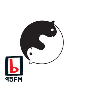 95bFM: Friendly Potential