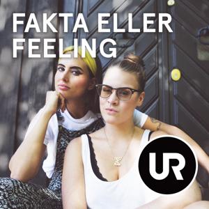 Fakta eller feeling