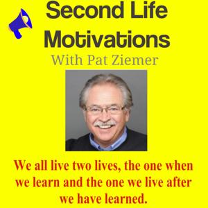 Second Life Motivations