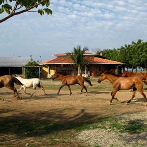 Un Paraiso con nombre de mujer