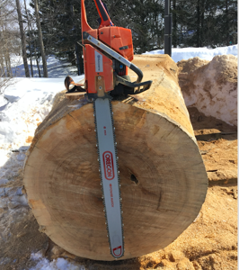 Chainsaw Carving