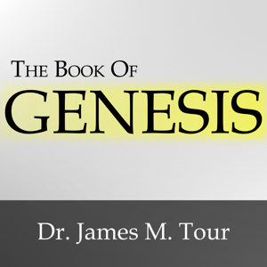 The Book of Genesis by James M. Tour