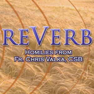 reVerb Homilies