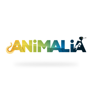 Animalia