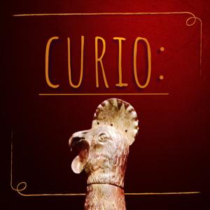 Curio: History, Museums, and the Things We Put in Them