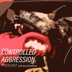 Controlled Aggression by Jerry Bradshaw