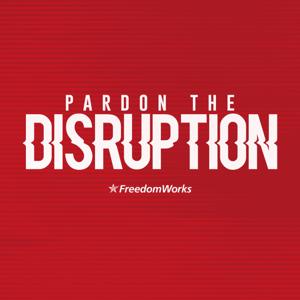 Pardon The Disruption