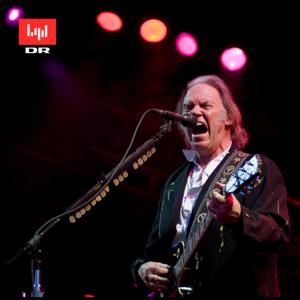 Neil Young - Dreamin' Man