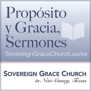 Propósito y Gracia, Sermones