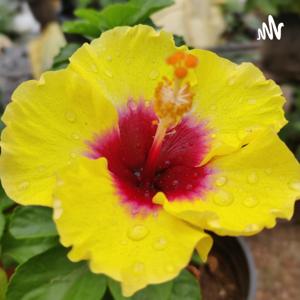 जीवन सफ़र