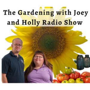 The Gardening with Joey & Holly radio show Podcast/Garden talk radio show (heard across the country) by The Gardening with Joey & Holly radio show (The Wisconsin vegetable gardener)