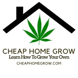 Cheap Home Grow - Learn How To Grow Cannabis Affordably Podcast by Cheap Home Grow