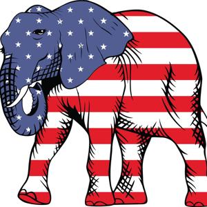 The Two Elephants