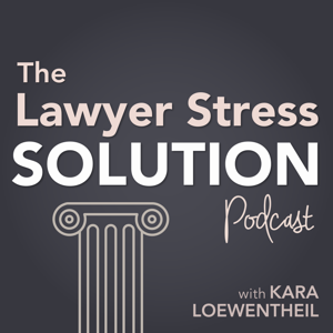 The Lawyer Stress Solution by Kara Loewentheil | Anxiety hacks from a cognitive life coach for lawyers, d