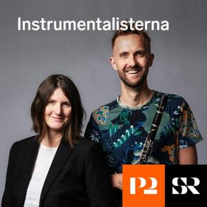 Instrumentalisterna