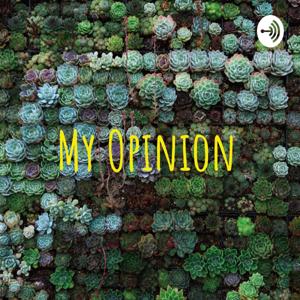 My Opinion