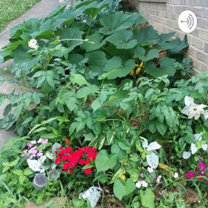 Gardening With E