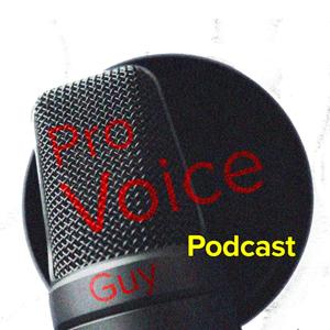 Pro Voice Guy Podcast