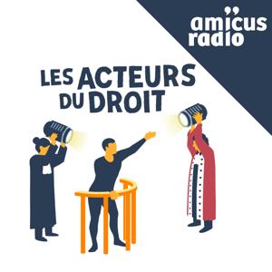 Les Acteurs du droit