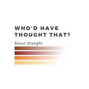 Who'd Have Thought That?