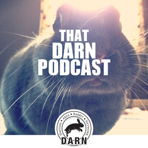 That DARN Podcast