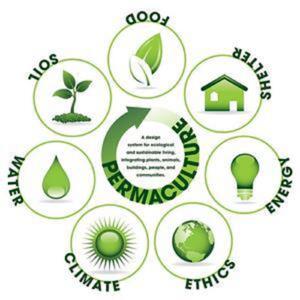 Living Permaculture by Jerome Osentowski, Vanessa Harmony