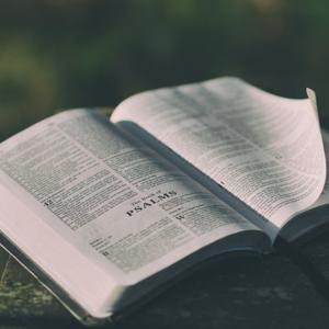 Kitchener Waterloo Christian Fellowship