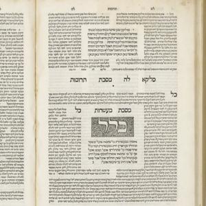 הרצאות הרשקוביץ נויבירט