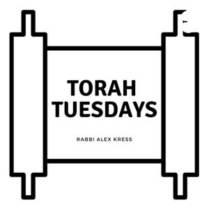 Torah Tuesdays