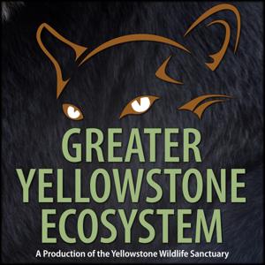 Greater Yellowstone Ecosystem