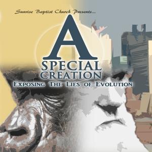 A Special Creation