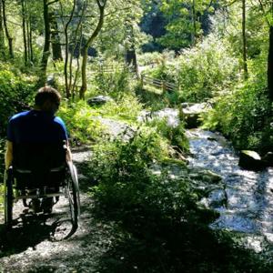 Jamie See No Bounds - The  Story
