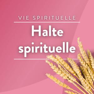 Halte spirituelle by Madeleine Vatel,Véronique Alzieu