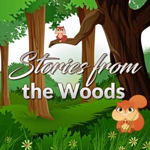 Stories from the Woods - Original Children/Kid Stories Podcast