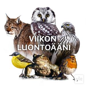 Viikon luontoääni