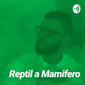 Reptil a Mamifero