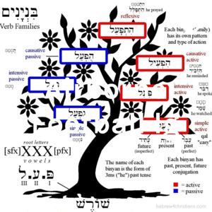 Torah Baruch Eyeh